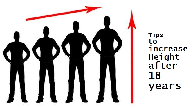 How basketball increase height