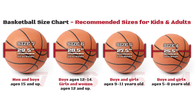 How big is a basketball diameter
