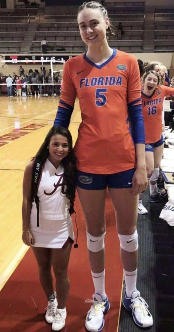 How tall are women basketball players